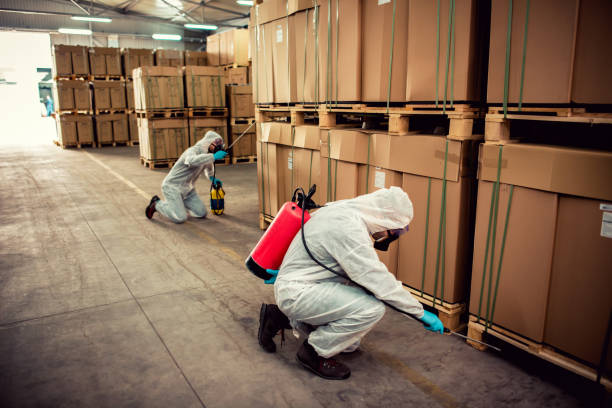 Best Flea Control Services  in Lawson, MO