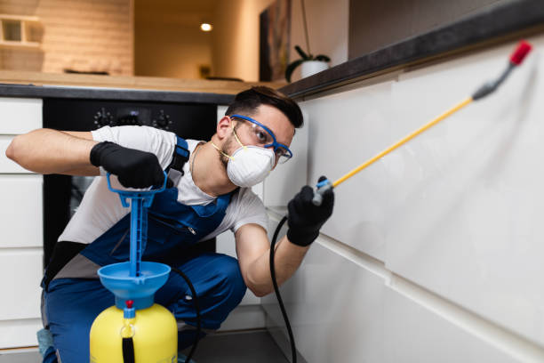 Best Pest Control Treatment  in Lawson, MO