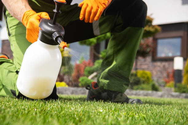 Best Termite Control Services  in Lawson, MO