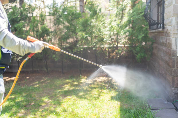 Best Pest Removal Services  in Lawson, MO