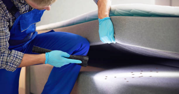 Best Flea Control Services  in Lawson, MO