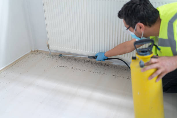 Pest Control for Restaurants in Lawson, MO
